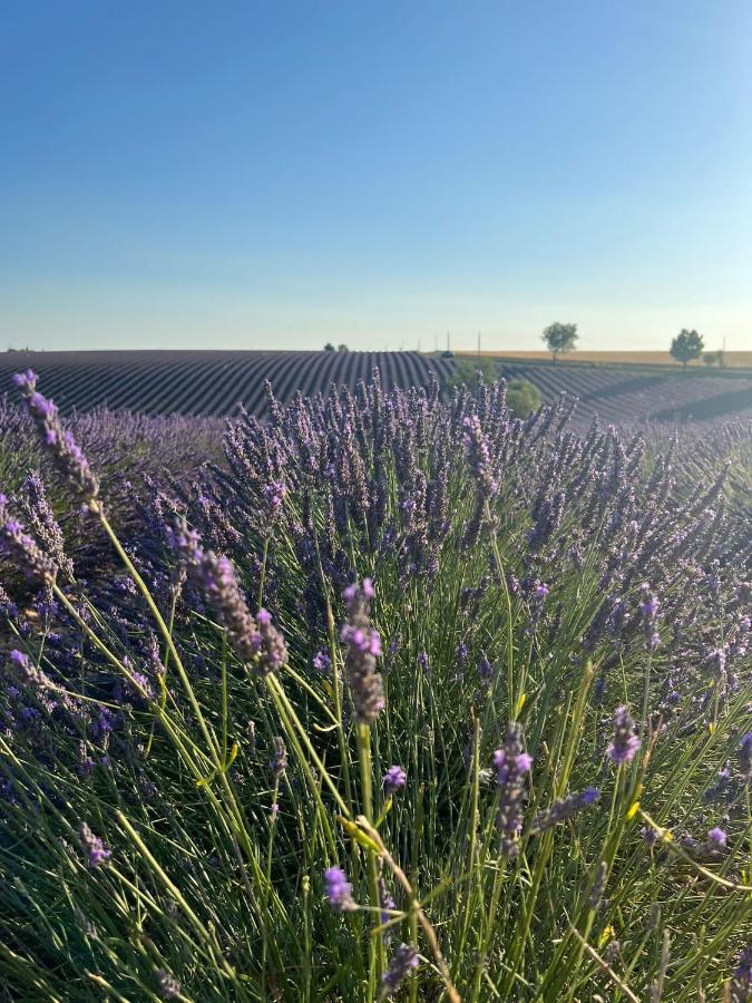 Takamaka Bed & Breakfast Manosque Dış mekan fotoğraf
